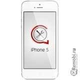 Ремонт Apple iPhone 5 (Айфон 5)